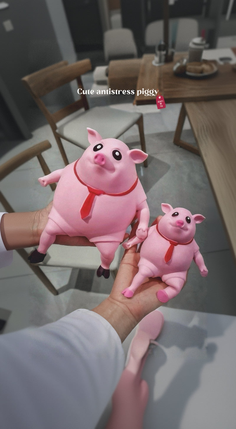Cute Piggy Antistress Toy